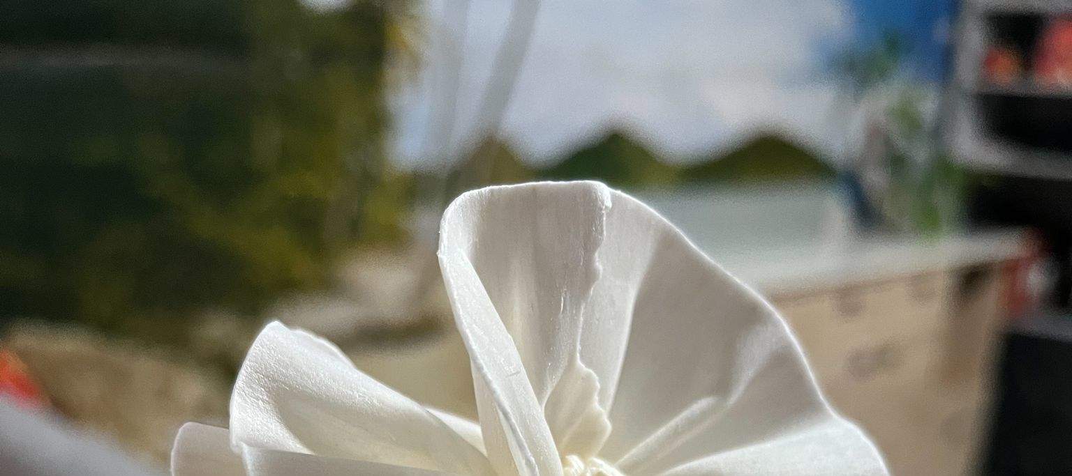 加了擴香瓶的DIY索拉花更為家居增加氛圍感