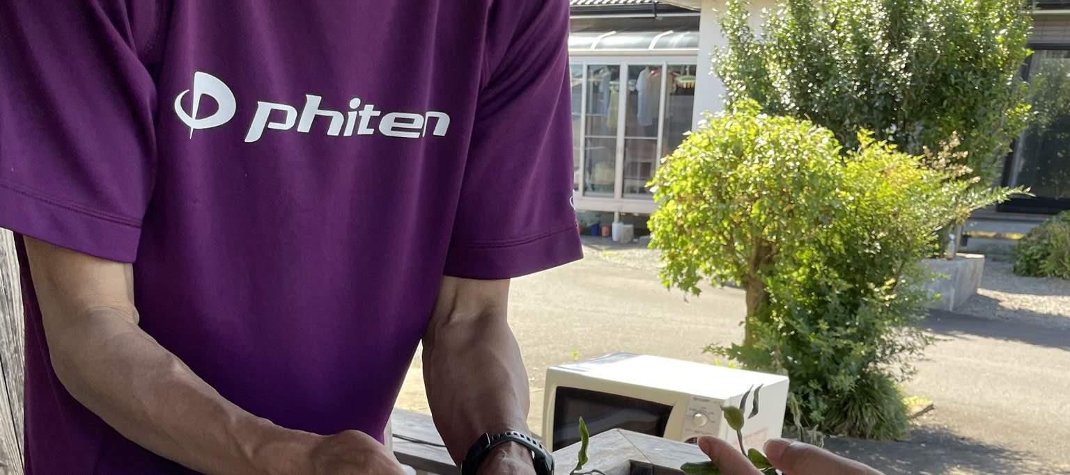 Drei Handpaare filtern die gepflückten Blätter