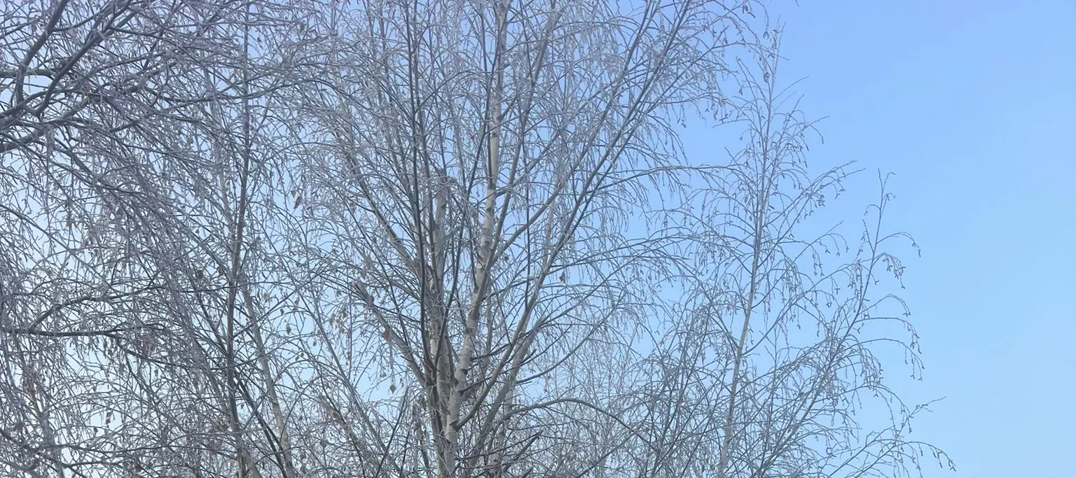 冬季，欣赏冰雪仙境