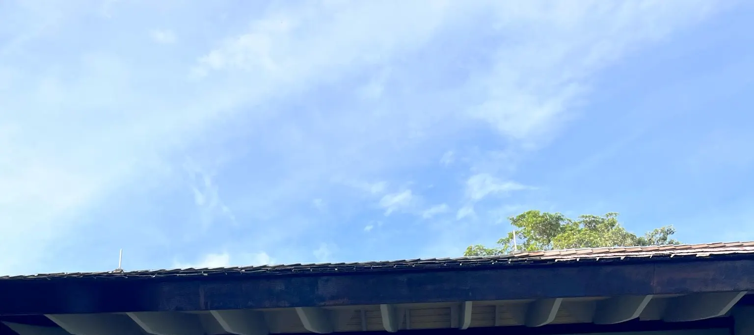 圣淘沙湾码头至拉撒路岛渡轮服务（由 YachtCruiseSG 提供）