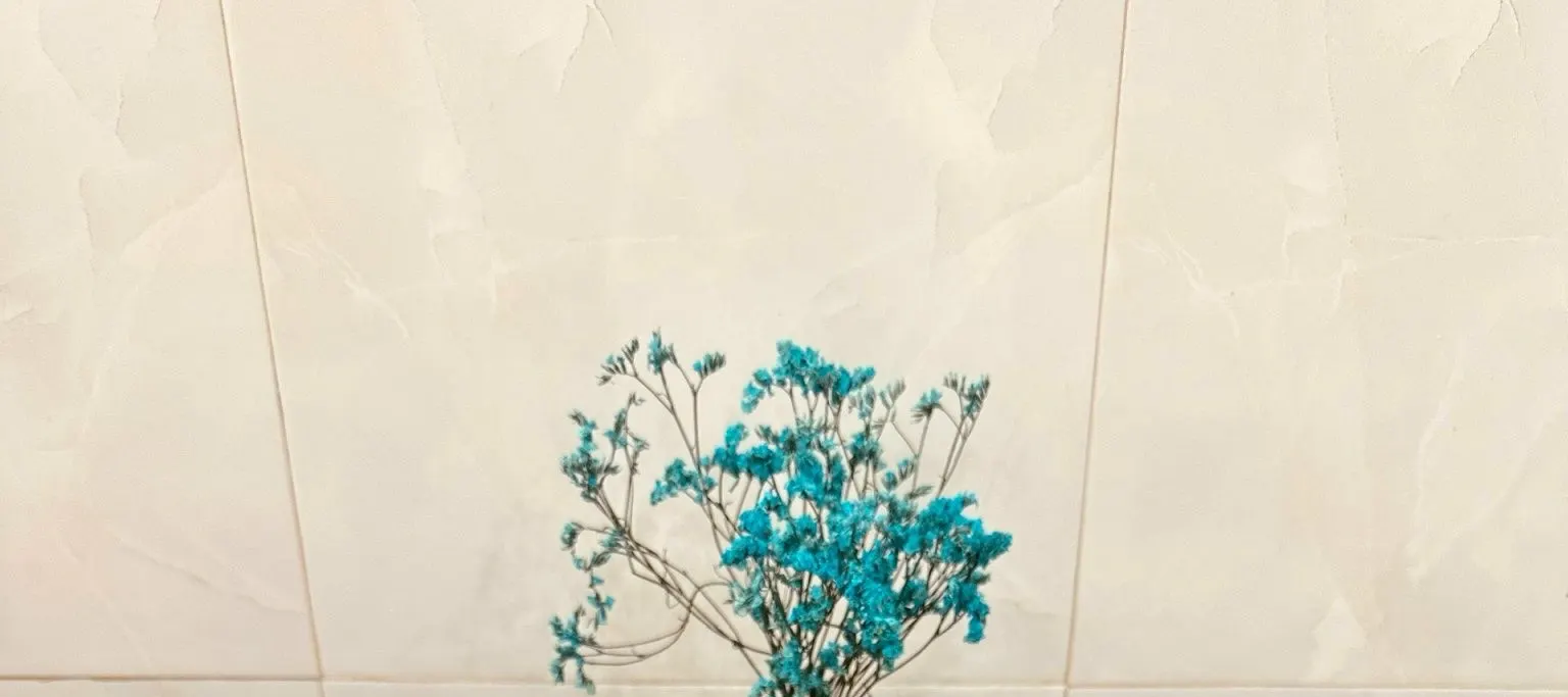 茶