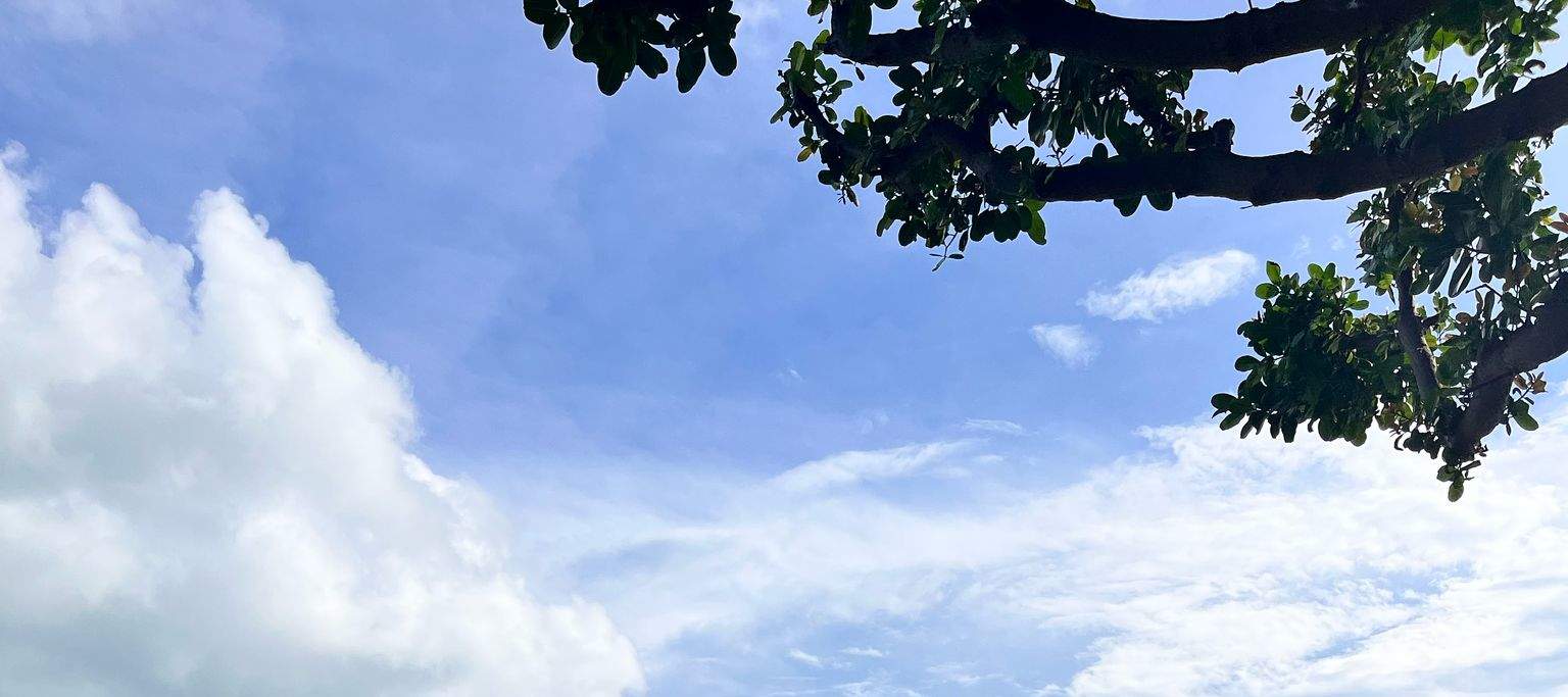 圣淘沙湾码头（Sentosa Cove Jetty）- 拉撒路岛（Lazarus Island）渡轮服务（YachtCruiseSG提供）