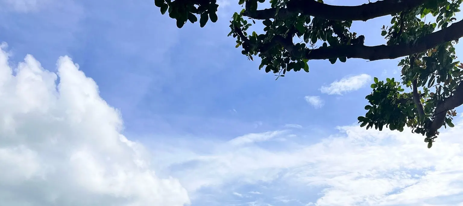 圣淘沙湾码头至拉撒路岛渡轮服务（由 YachtCruiseSG 提供）