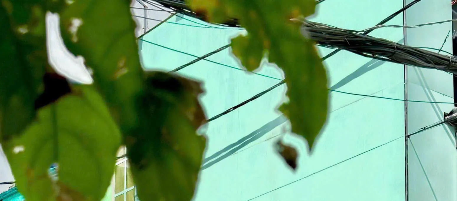 胡志明市安棉草药洗发按摩【DTH街】