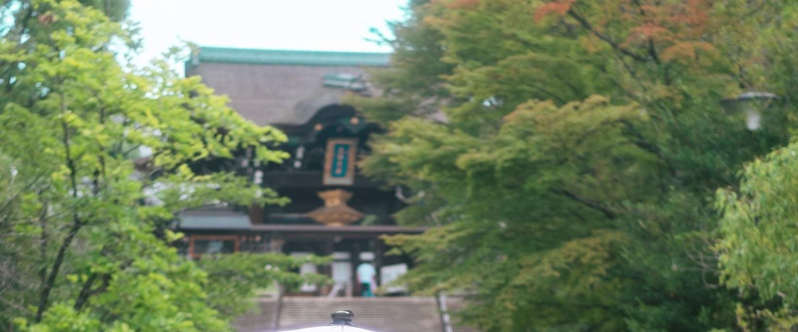 Wide variety of kimonos