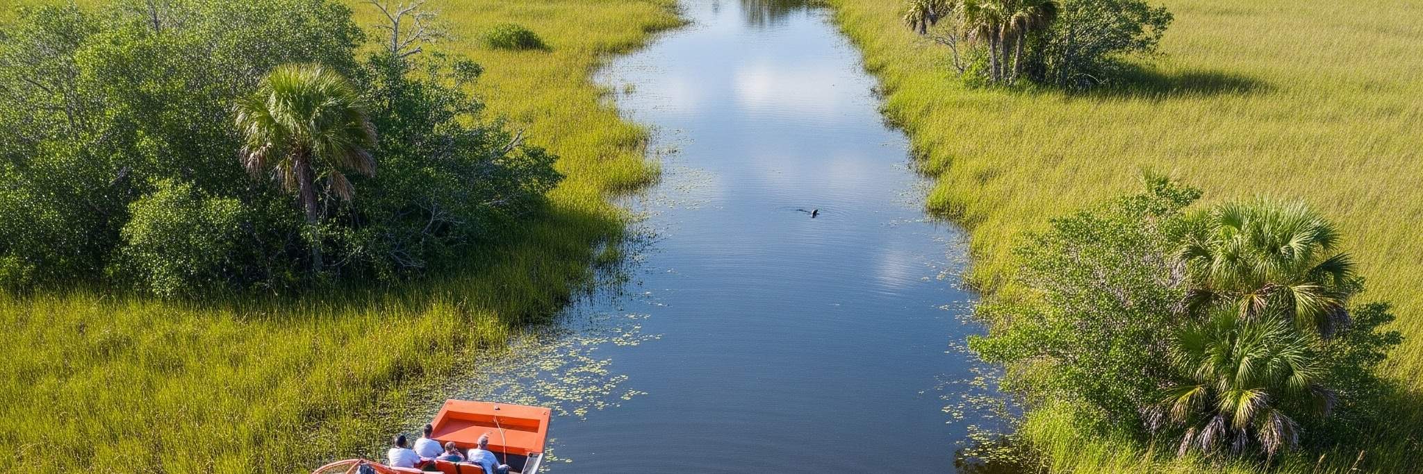 ประสบการณ์นั่งเรือแอร์โบ๊ทในเอเวอร์เกลดส์และชมจระเข้