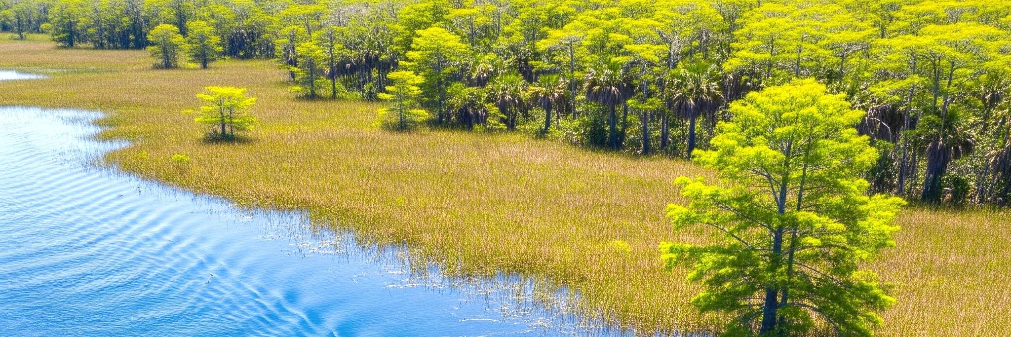 Everglades Airboat & Gator Erlebnis