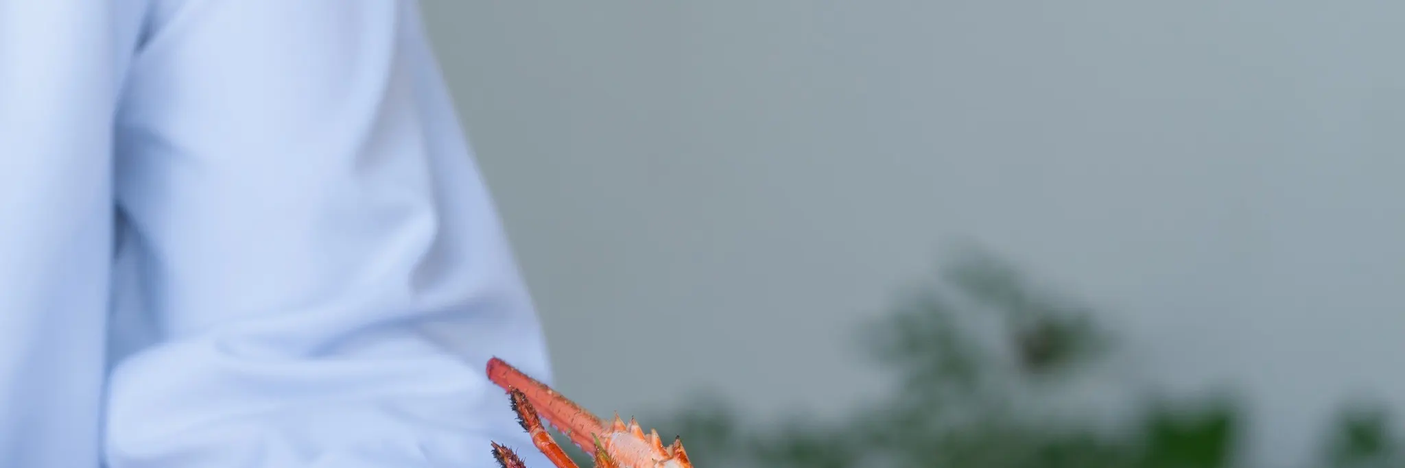 烤龙虾