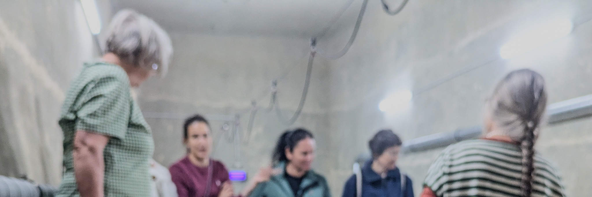 Nhóm du khách thích thú nhìn vào cơ sở trồng nấm.