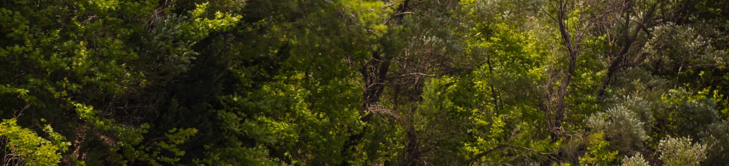 orang ramai berakit air di sungai