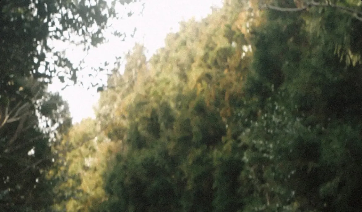 Woollfilm 济州岛婚前套餐