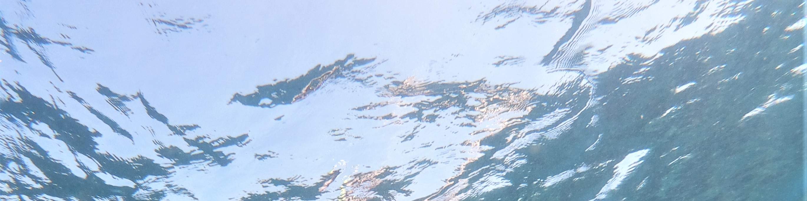 Остров Черепах, Лодка со Стеклянным Дном, Круиз по Мангровым зарослям от JTB Indonesia