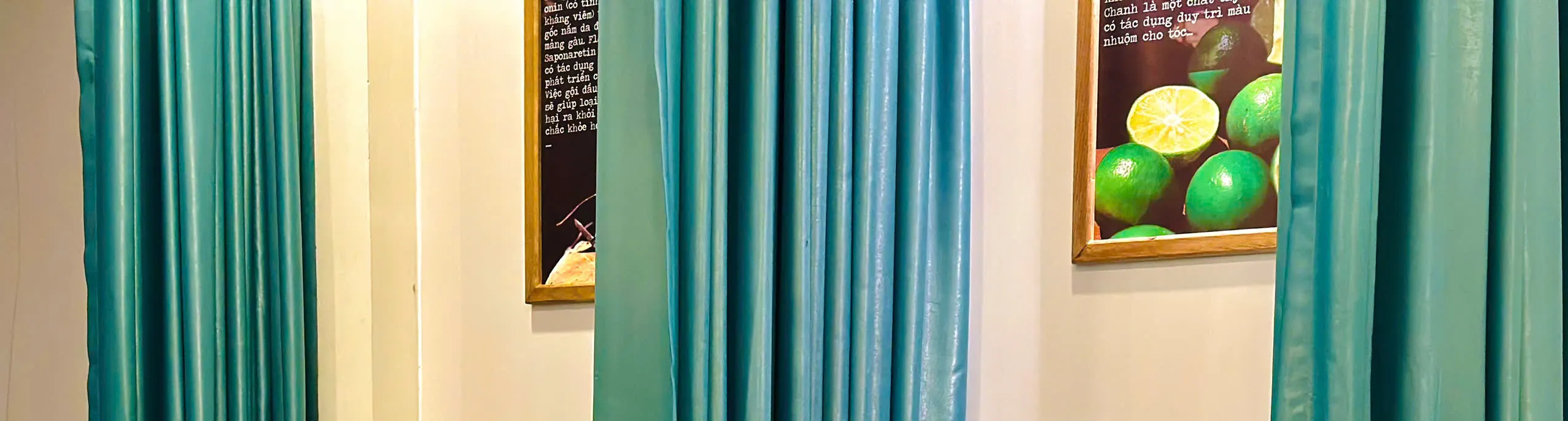 胡志明市安棉草药洗发按摩【DTH街】