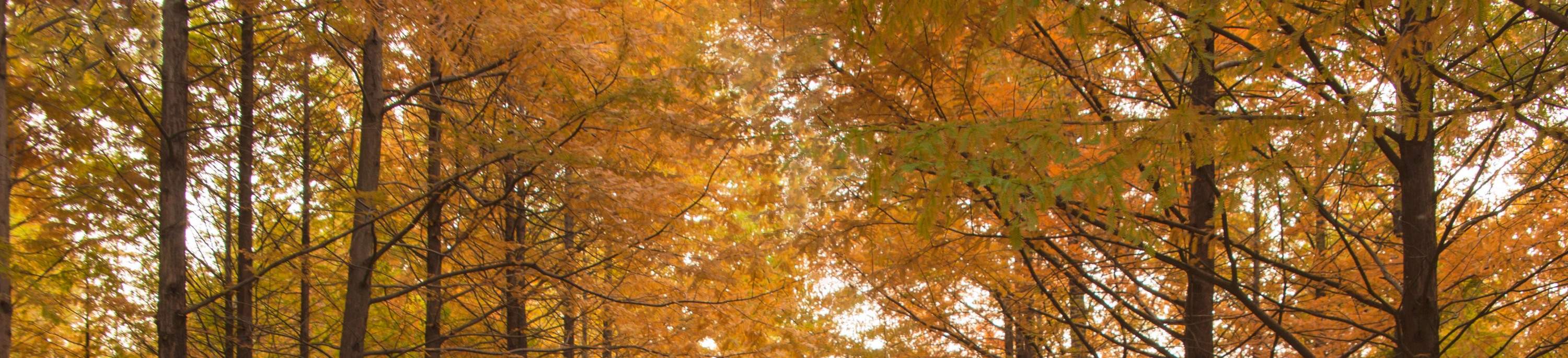 Билет на остров Нами