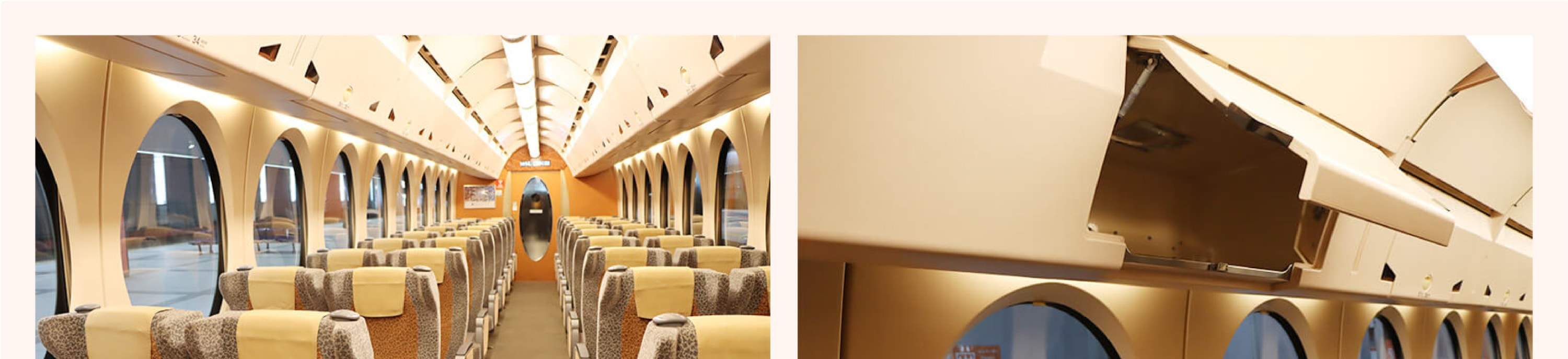 Nankai Rapi:t Kansai Airport Express Ticket