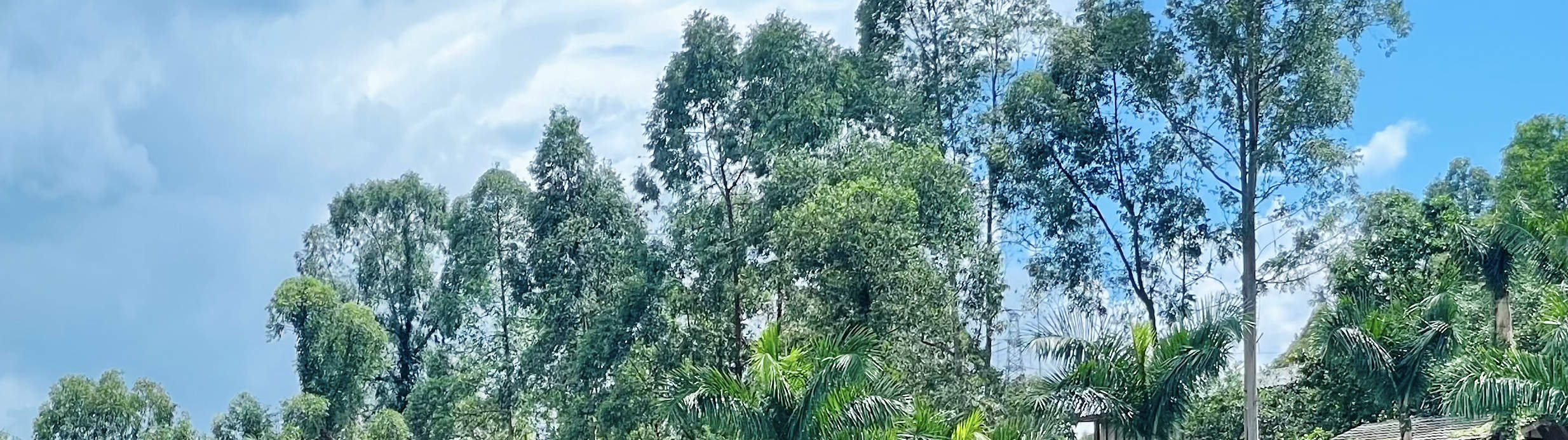 Numero totale di camere in una casa unifamiliare con vista lago tra montagne e fiumi: 6 - Stile città sull'acqua Lingnan - costruita vicino al lago, con vista lago dal balcone