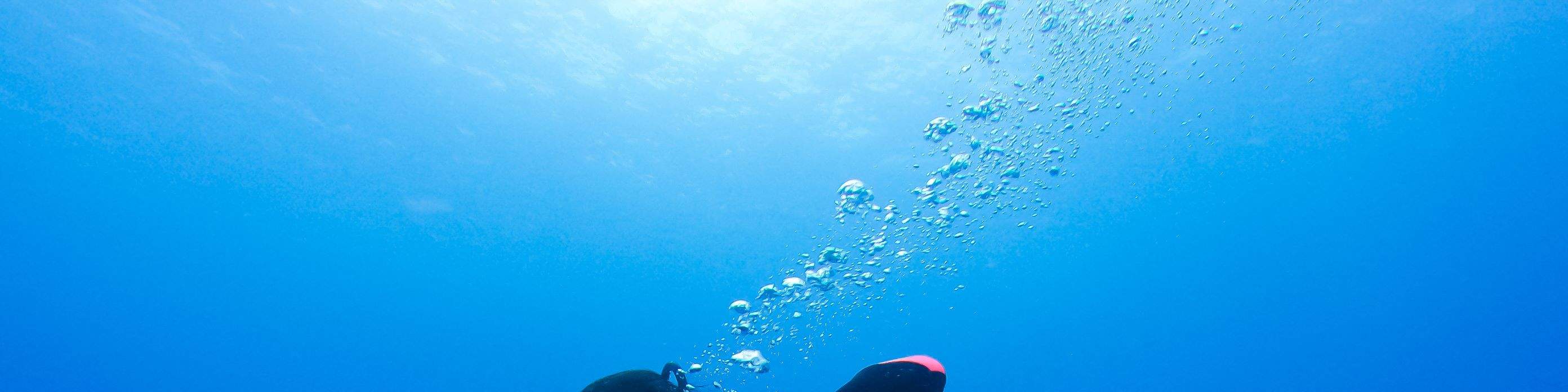 Taitung: Green Island Shuiqing Diving Hostel Taucherlebnis