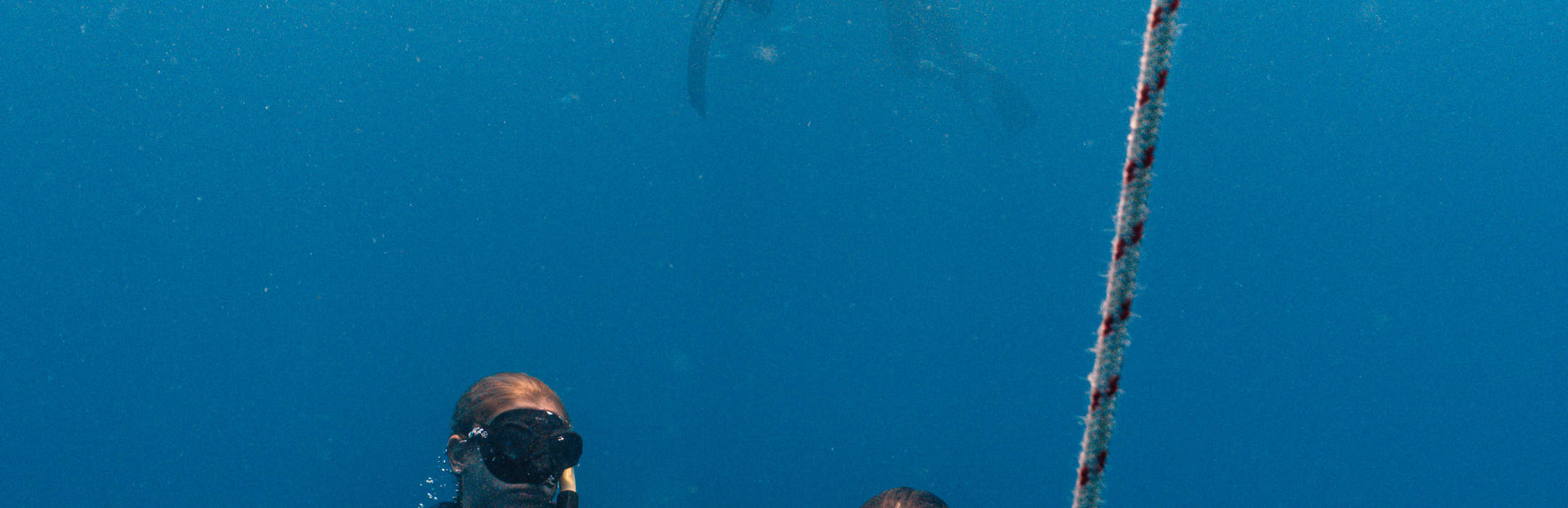 Фридайвинг с профессионалом