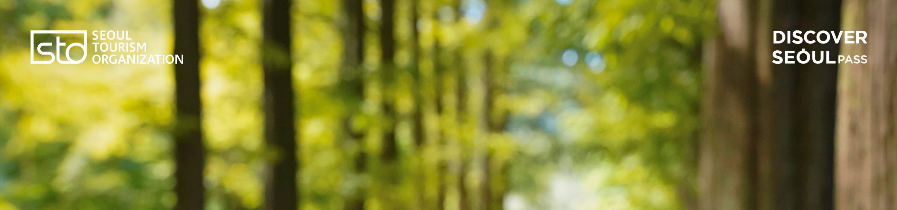 ディスカバーソウルパス