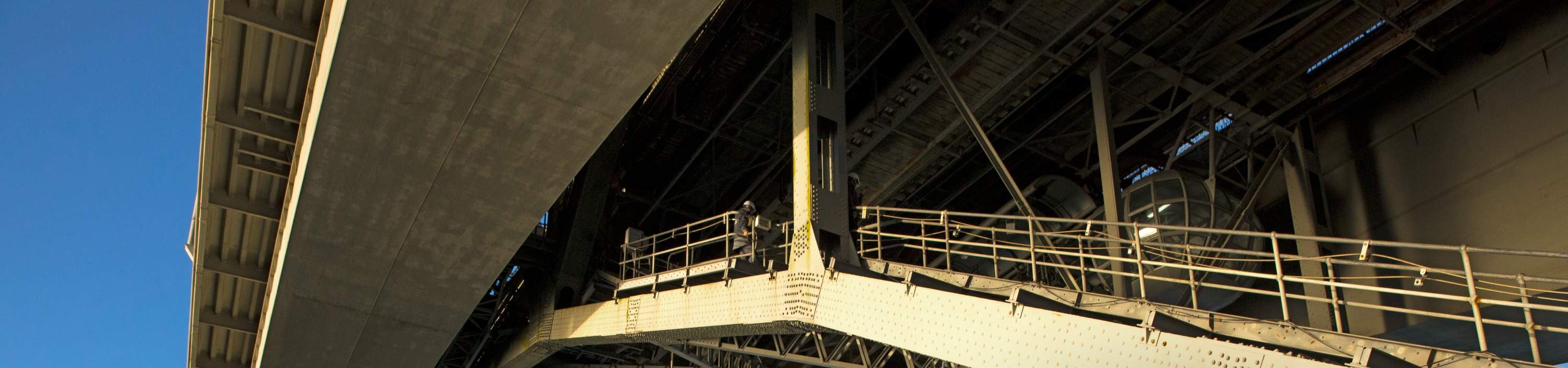 Nhảy bungy cầu cảng Auckland