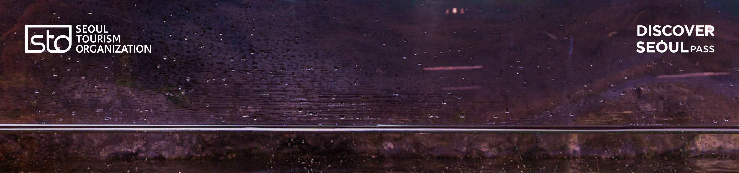 ディスカバーソウルパス