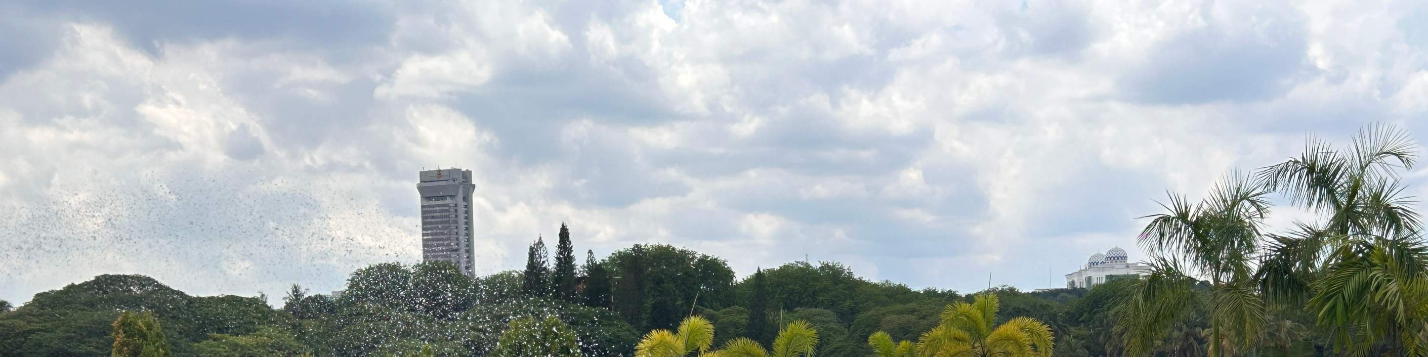 ウェットワールドウォーターパーク シャーアラム 入園チケット（クアラルンプール）