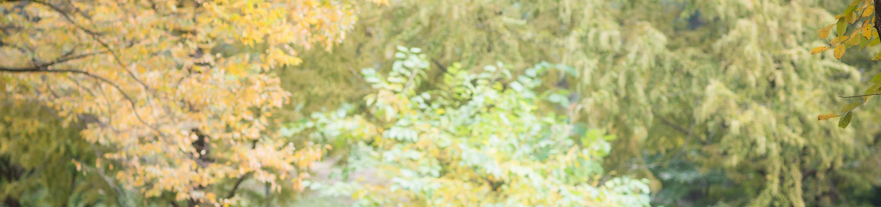 Korea Z-and Outdoor Shooting Experience