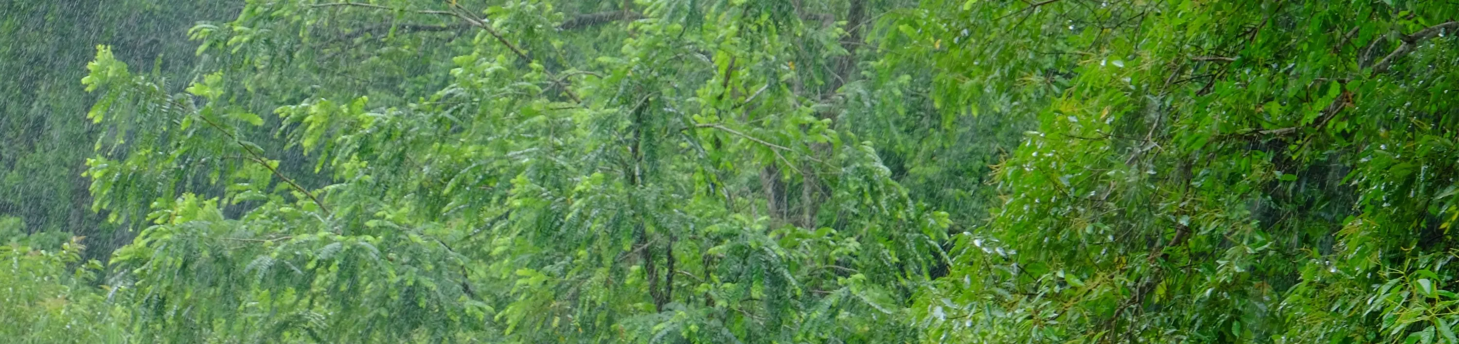 感受肾上腺素的飙升