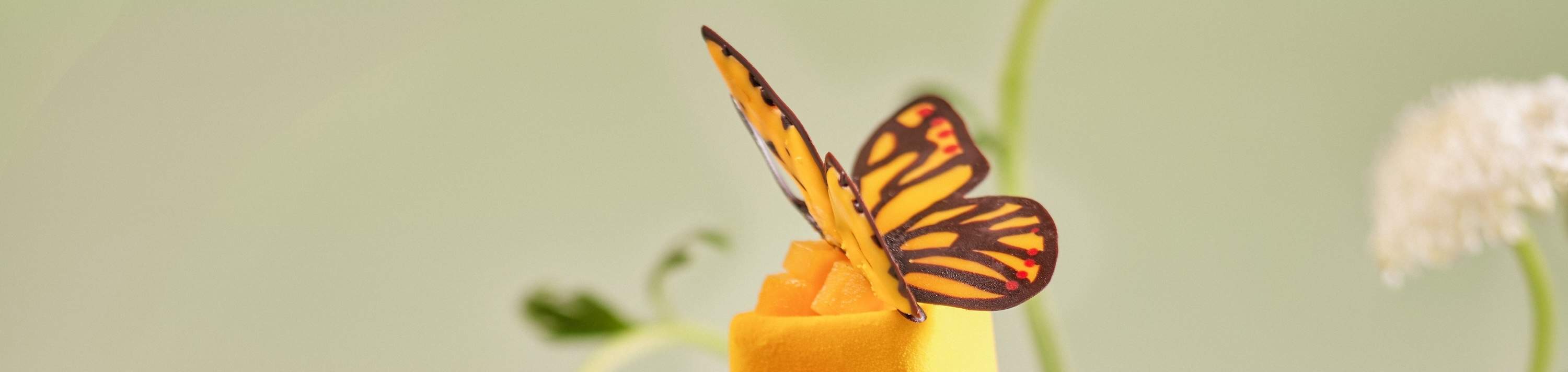 岘港 Novotel Danang Premier Han River 酒店下午茶体验