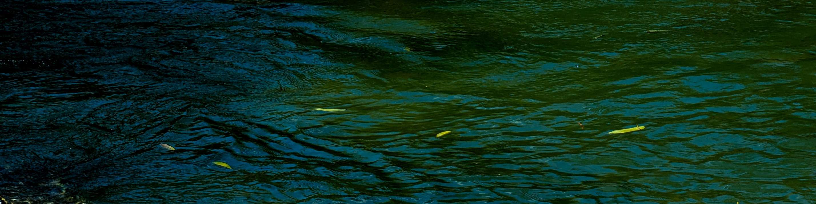 Biglietto per il Langkawi Wildlife Park