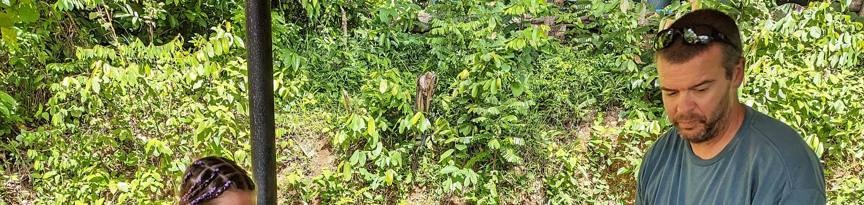 普吉岛大象体验