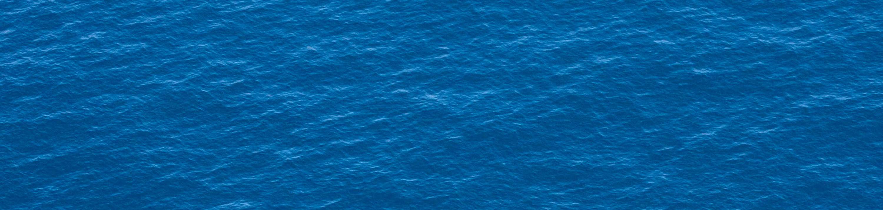 Trải Nghiệm Ngắm Cá Voi Và Kaikoura Từ Trên Cao 