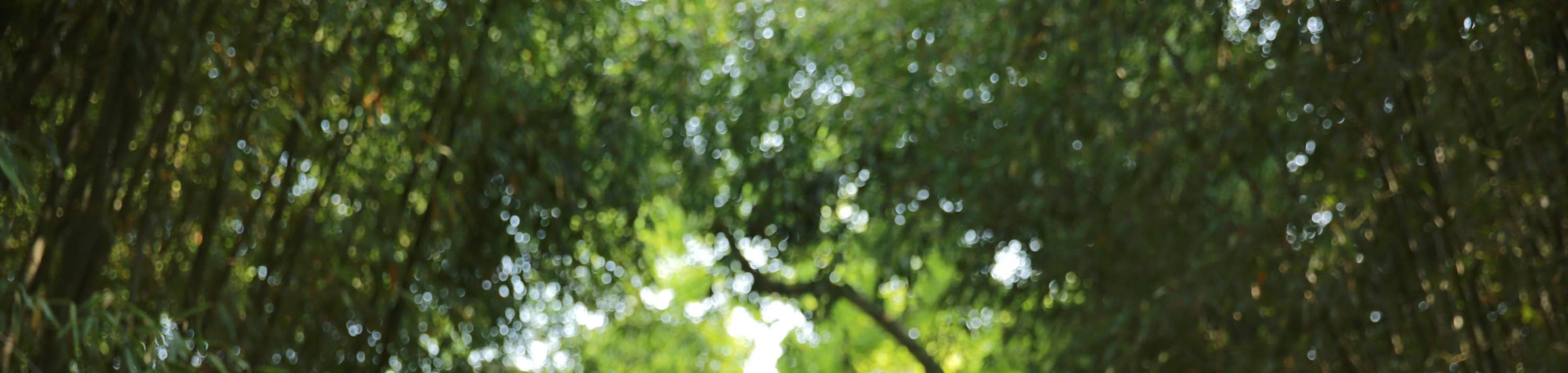 ประสบการณ์ชุดฮันบกและการถ่ายภาพที่หมู่บ้านชอนจูฮันอก