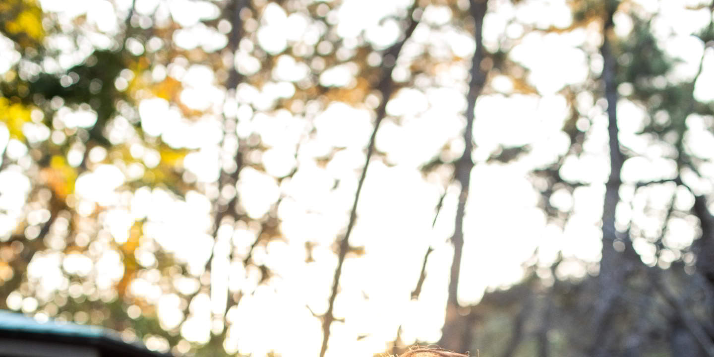 鎌倉和橫濱婚紗照拍攝（專業造型）