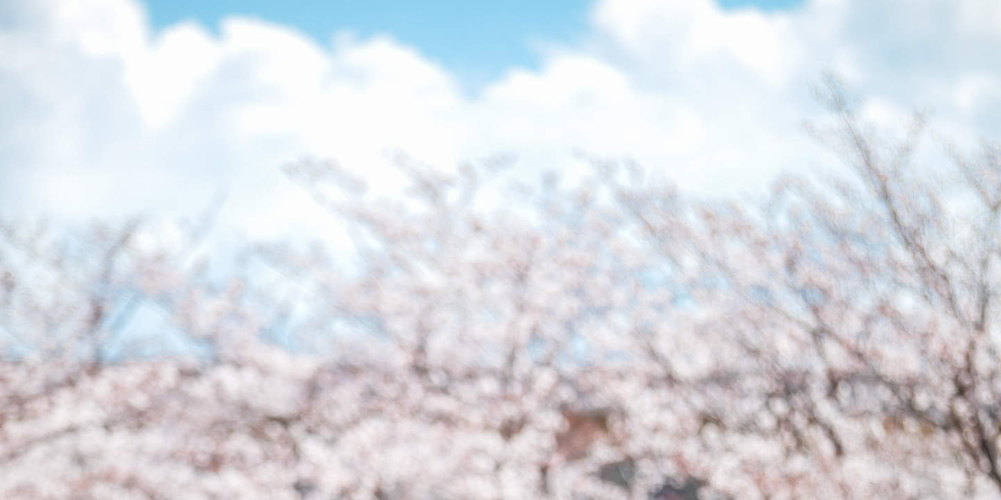 Kamakura & Yokohama Wedding Photoshoot with Pro Styling