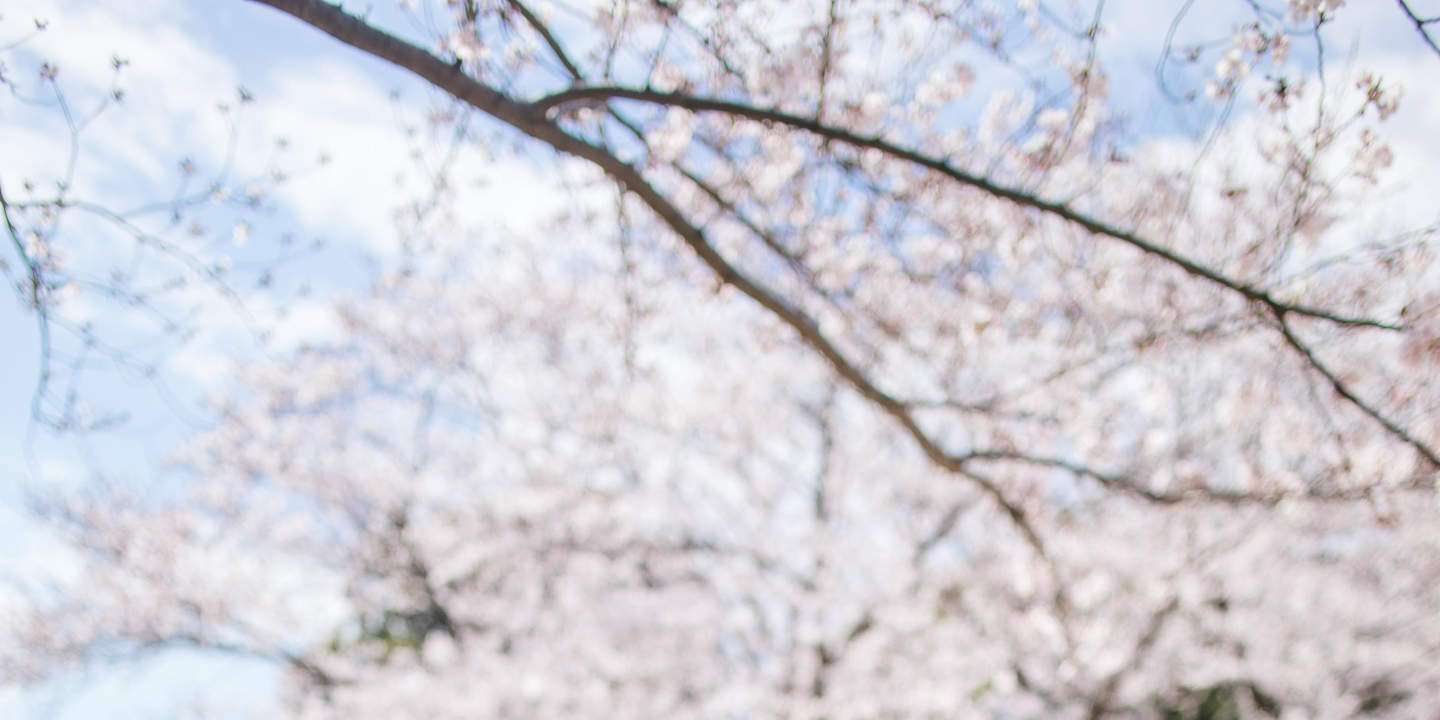 Kamakura & Yokohama Wedding Photoshoot with Pro Styling
