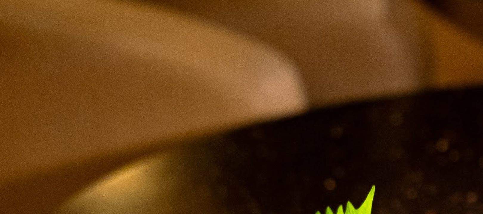 Maison Mizuki at Sofitel Bangkok Sukhumvit Hotel