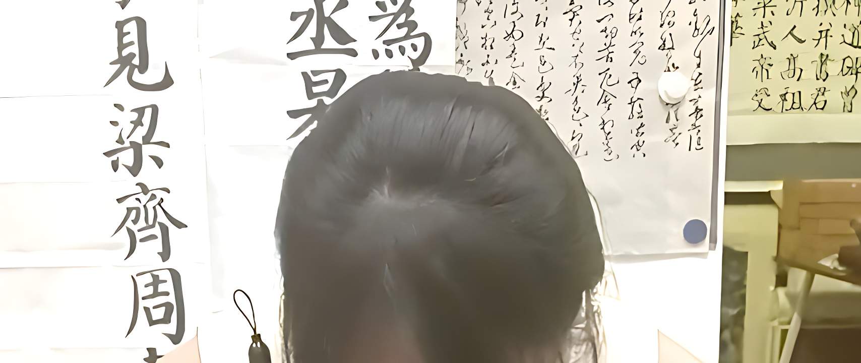 笔墨的艺术：中国传统书法入门