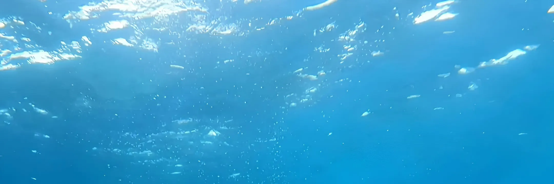 吉利艾尔岛浮潜与海龟共游