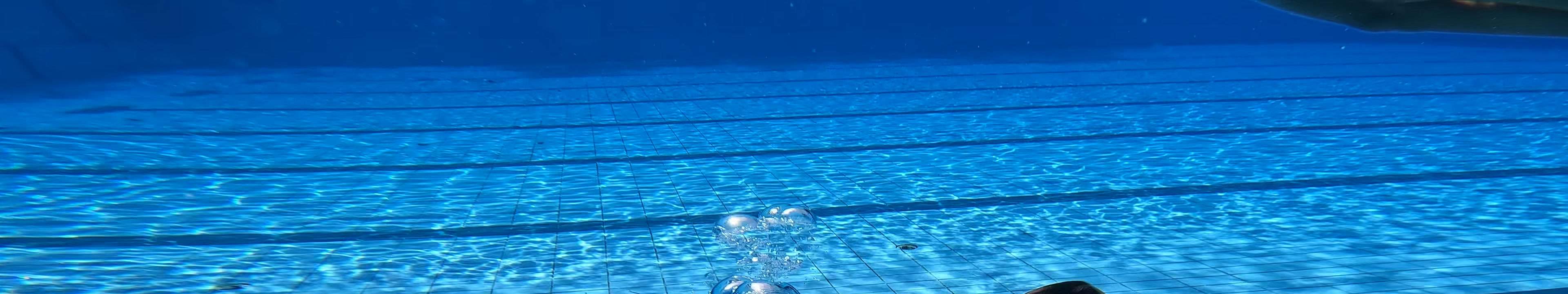 หลักสูตรนางเงือกขั้นพื้นฐาน