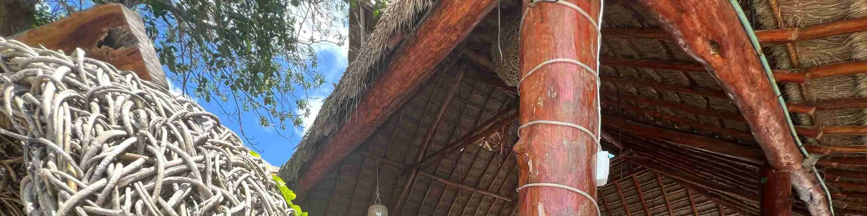 在热带奢华的泳池边享用新鲜海鲜