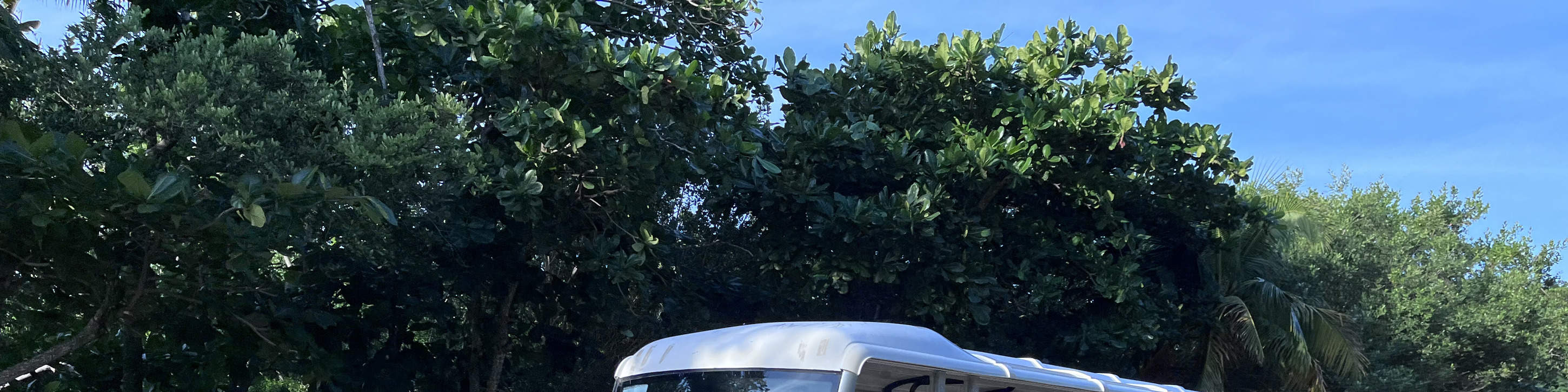 툴룸 패스트트랙 티켓