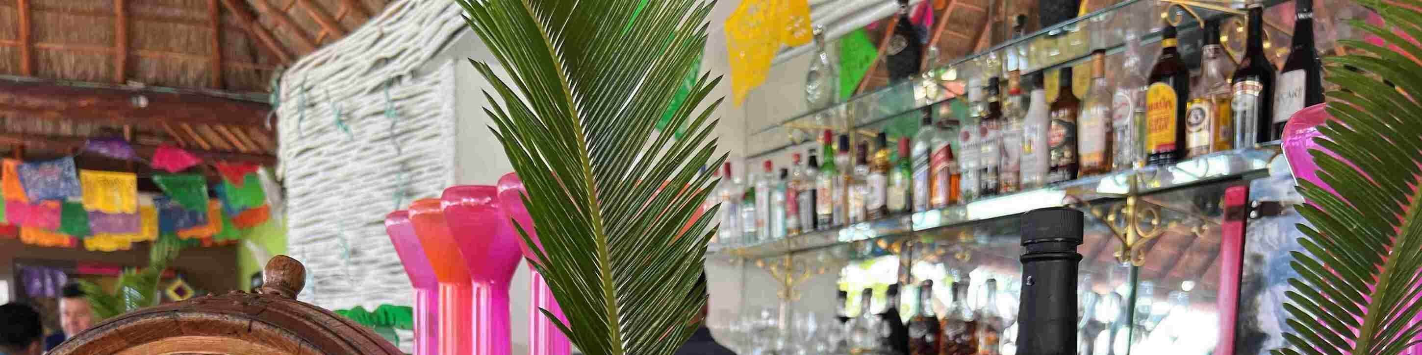 Bersantai, minum, dan bersnorkel—keseronokan tanpa had di bawah sinaran mentari Caribbean menanti anda