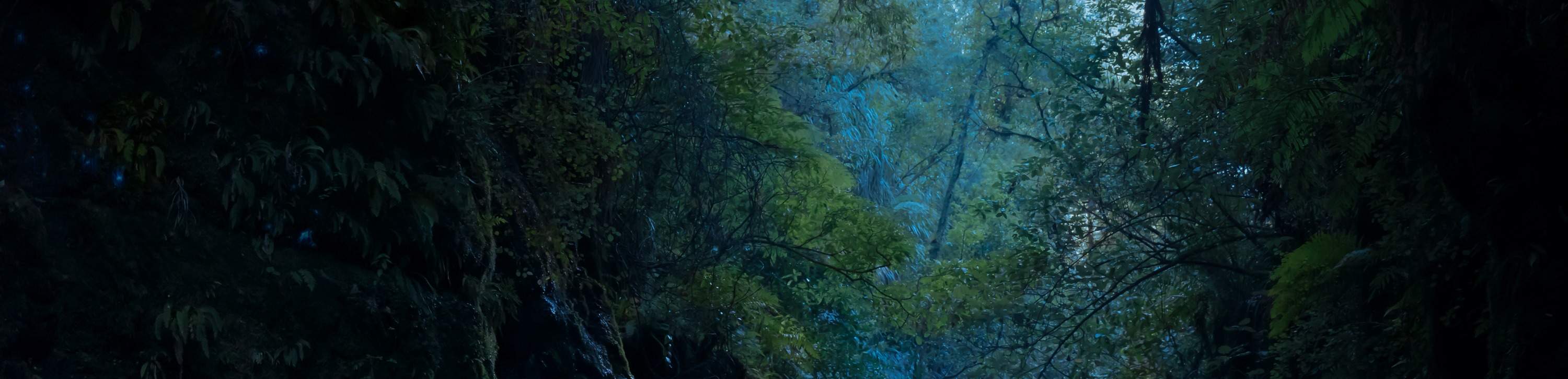 Большой тур к светлячкам на каноэ (BIG Kanu Glowworm Tour) в Тауранге