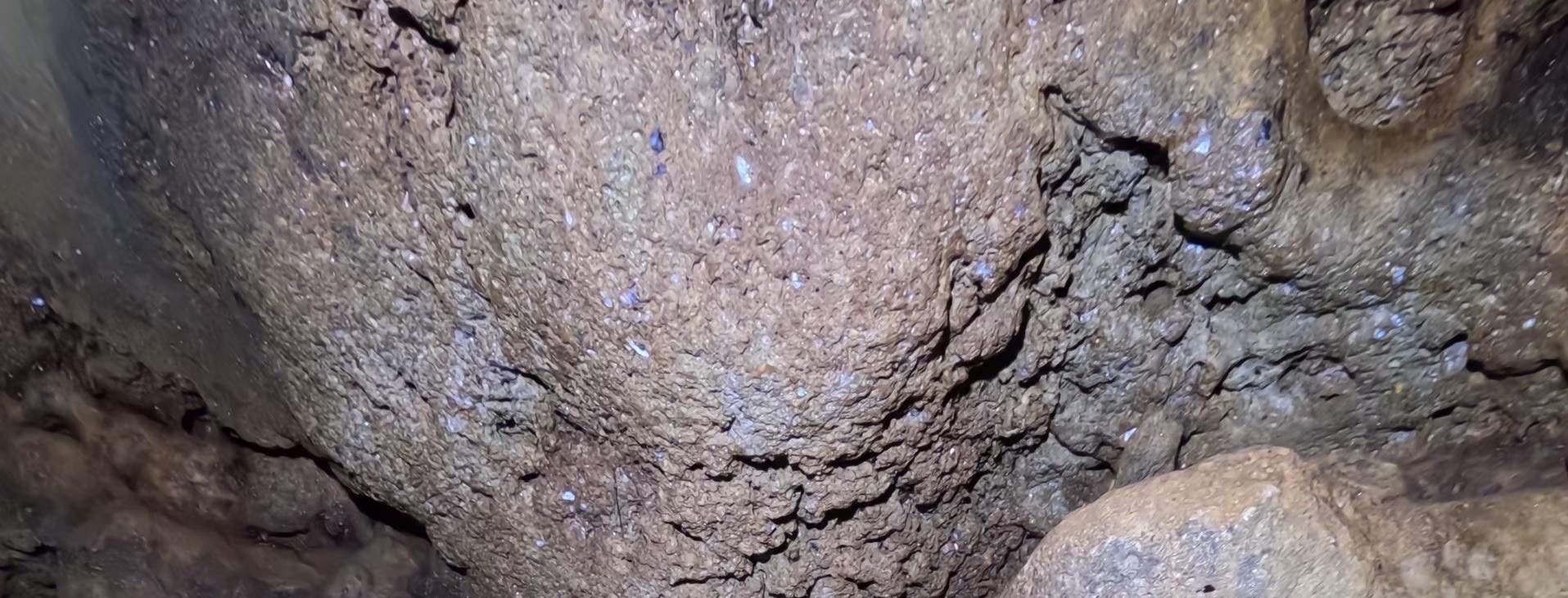 Jepang Okinawa｜Snorkeling Gua Biru｜Pelatih Bahasa Mandarin & Inggris! Pengambilan Gambar GoPro & Gratis Pemberian Makan Bawah Air