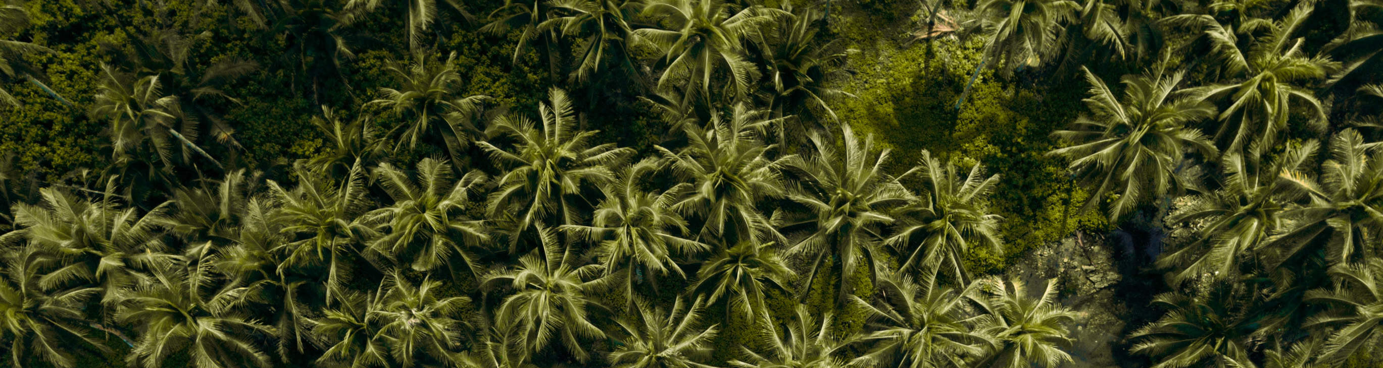 แม่น้ำหม่าซินเซียร์เกา