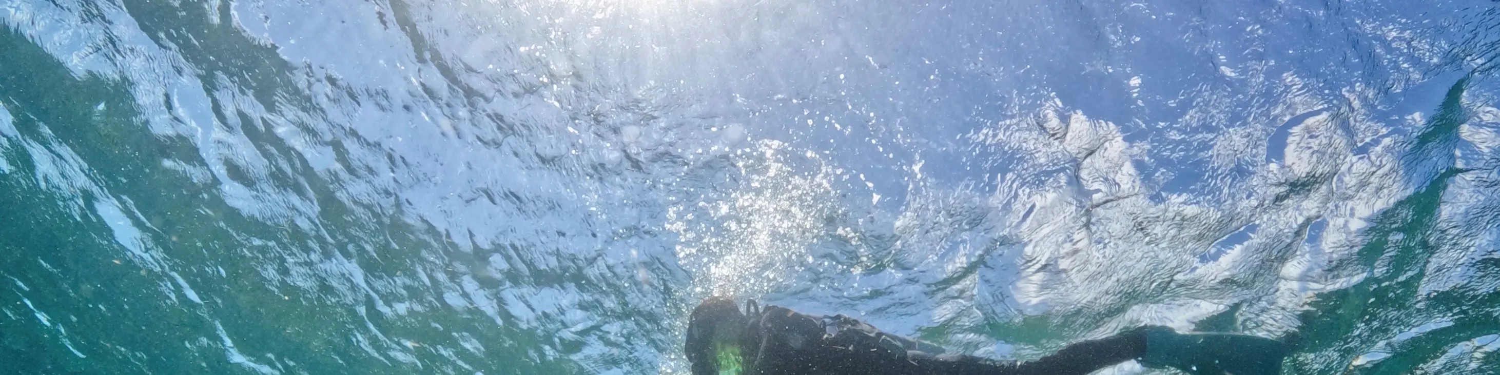 台东: 绿岛水青潜水旅宿潜水体验