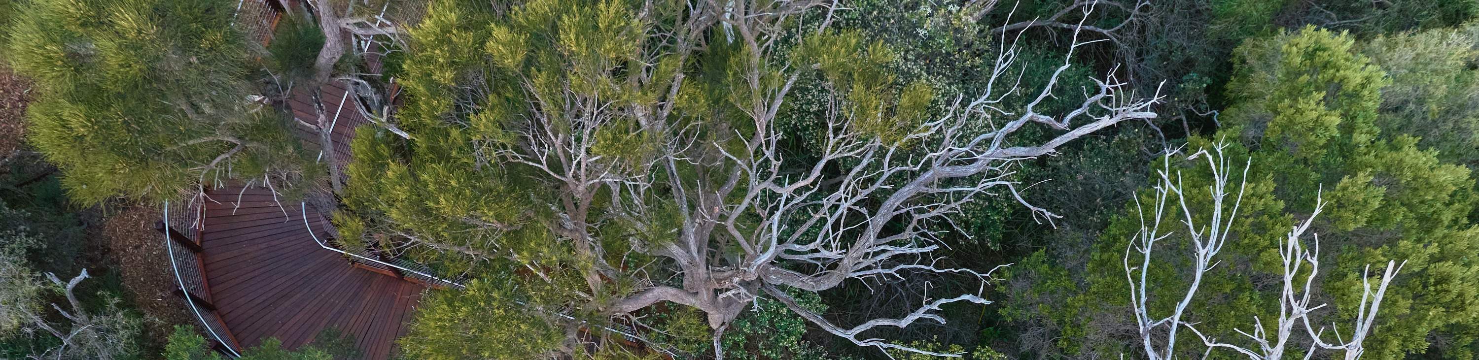 吉尔吉洞穴探索之旅