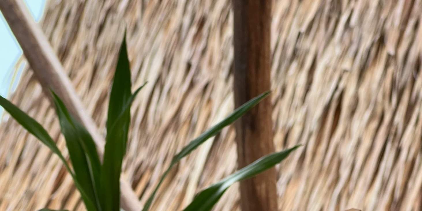 Silversmithing Workshop