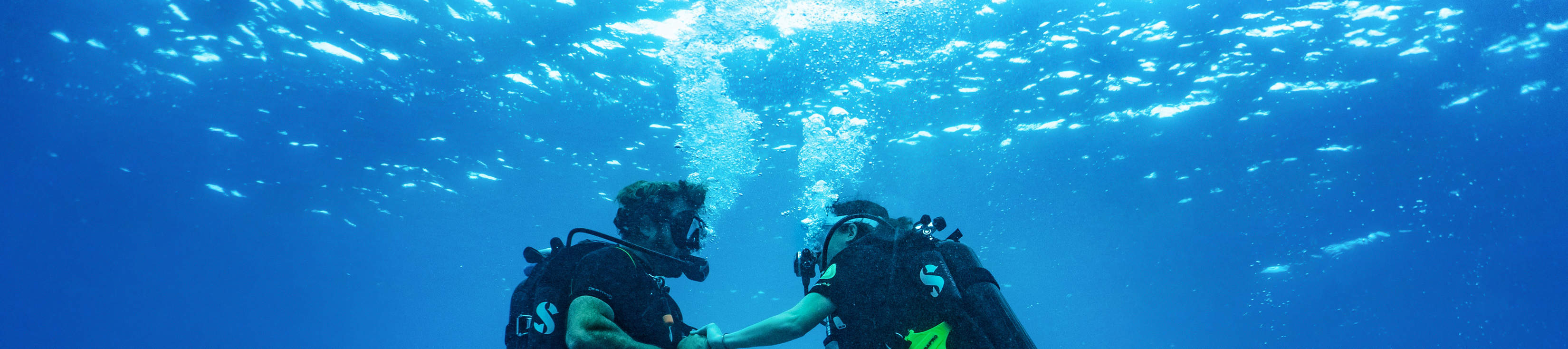PADI Open Water Diver [apprentissage en ligne]